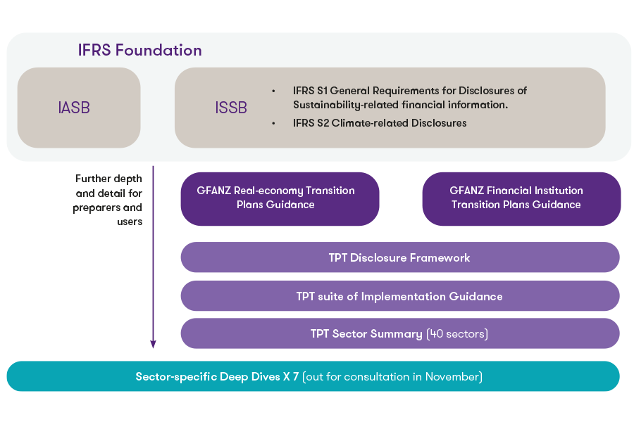 Transition plan taskforce | Grant Thornton Limited